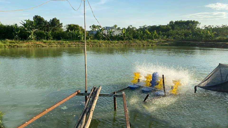 Bệnh sán lá 16 móc