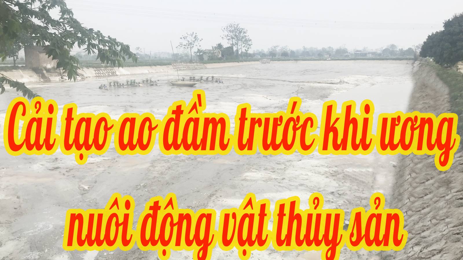 Cải tạo ao đầm và dụng cụ trước khi ương nuôi động vật thuỷ sản