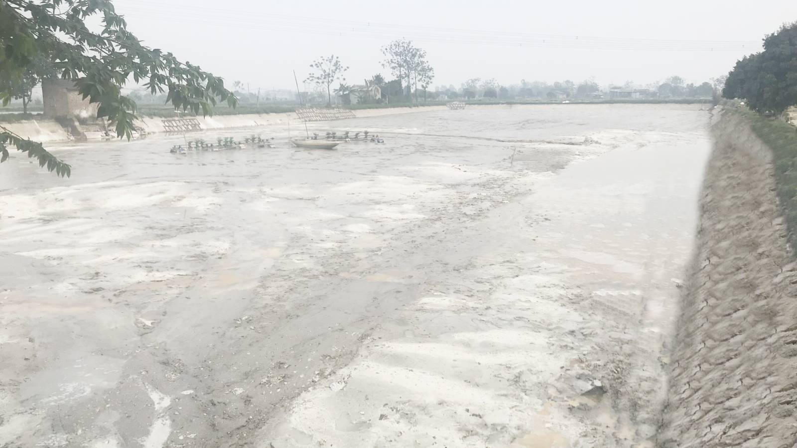 Một số loại thuốc và hóa chất xử lý đáy ao