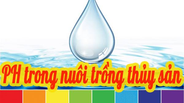 PH Trong Nuôi Trồng Thủy Sản