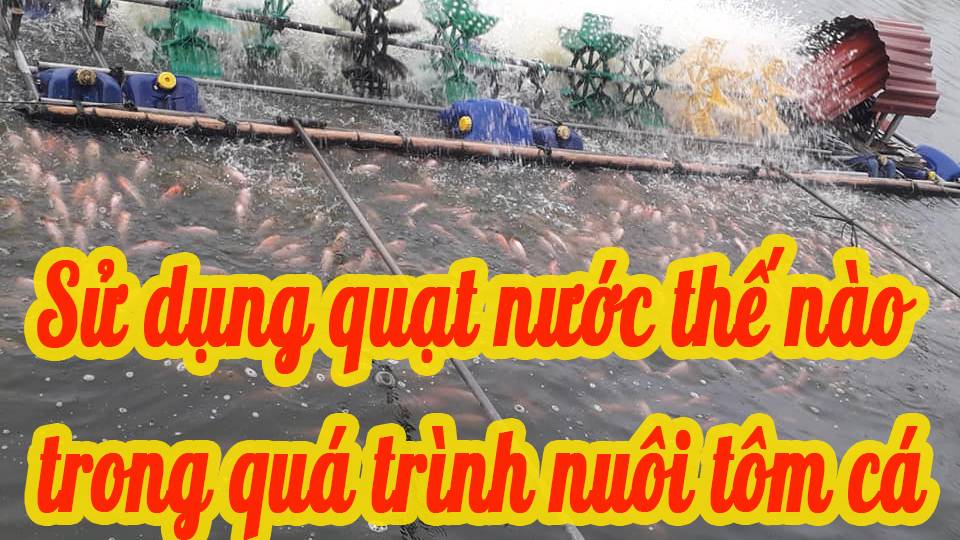 Sử dụng quạt nước trong quá trình nuôi tôm cá như thế nào