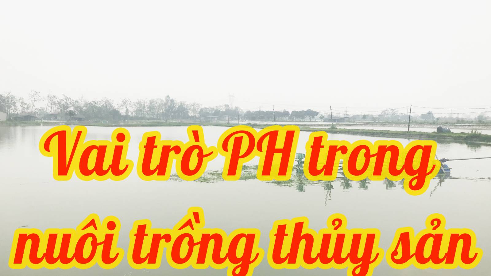 Vai trò của PH trong nuôi trồng thủy sản