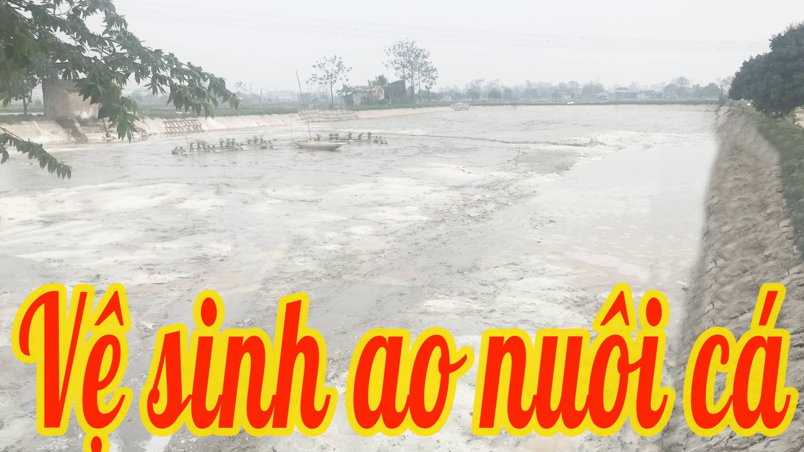 Vệ sinh môi trường ao nuôi cá tôm