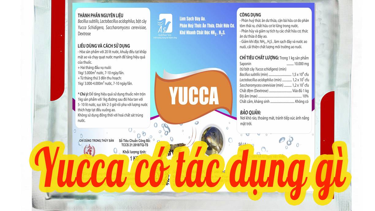 YUCCA CÓ TÁC DỤNG GÌ , KHI NÀO SỬ DỤNG YUCCA 