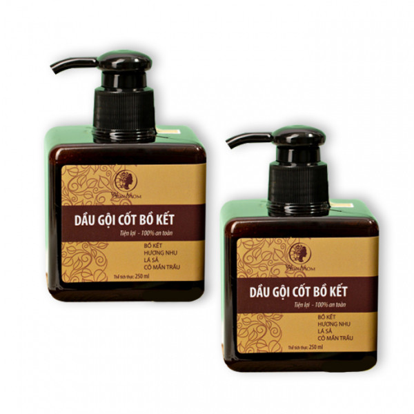 Dầu Gội Cốt Bồ Kết Ngăn Ngừa Gàu, Rụng Tóc, Dưỡng Tóc Đen Mượt Wonmom (C/250Ml)
