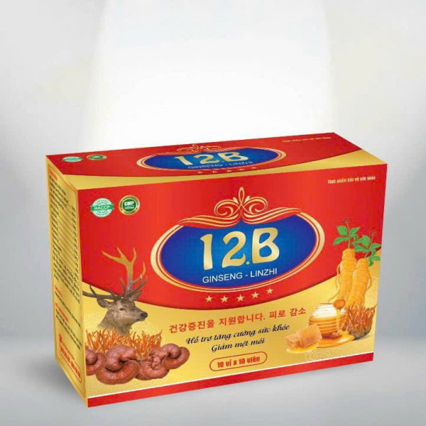 12B Vitamin 12B Gingseng Linhzhi Chữ Hàn _Zn (H100 Viên)