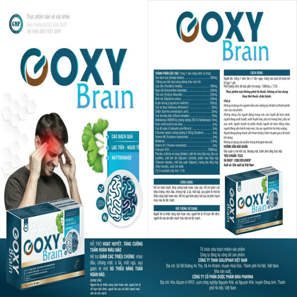 Goxy Brain Bổ Não _Md (Hộp/3 Vỉ *10 Viên) Vỉ Bạc