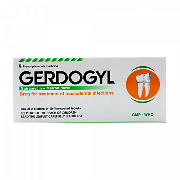 Gerdogyl Nghệ An (H/20V)