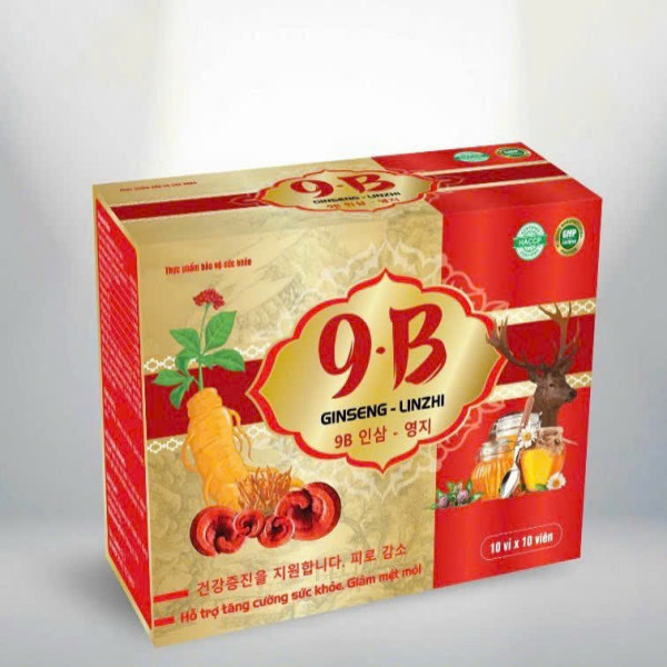 9B Vitamin 9B Chữ Hàn _Zn (10 Vỉ X 10 Viên) K57H