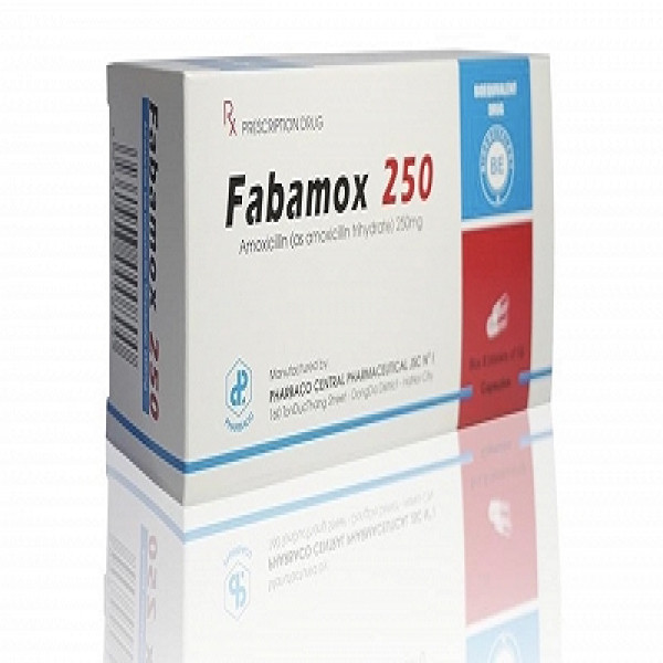 Fabamox Amoxicillin 250 Mg Pharbaco (H100V)