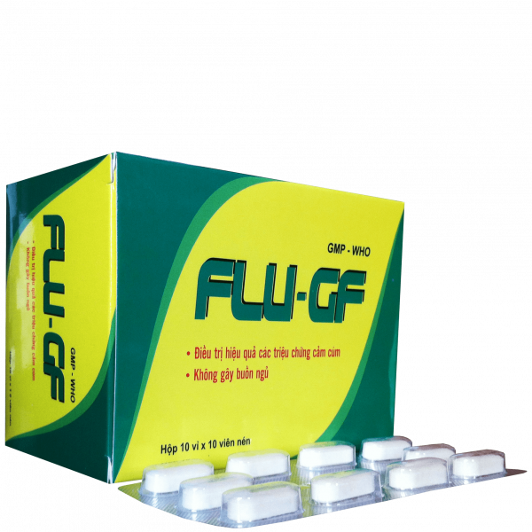 Flu - Gf Cảm Cúm _Armephaco (H100V)