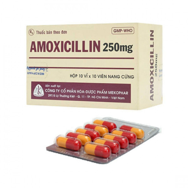 Amoxicillin 250Mg Mekophar (H100V)