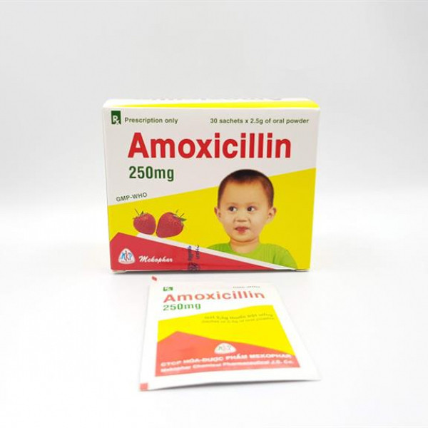 Amoxicillin 250Mg Mekophar (H30G2,5G) (Gói)