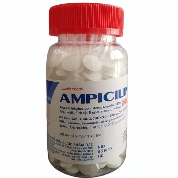 Ampicilin 250mg Tw2 (L200V)