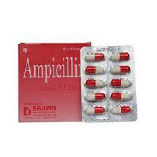 Ampicillin 500 Brawn _Ấn (10 Vỉ X 10 Viên)