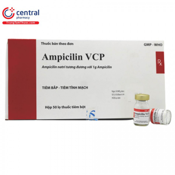 Ampicilin 1G Tiêm Vcp (H/50Lọ)