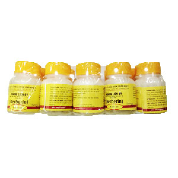 Berberin Đại Y (Cọc10L80V) K56C