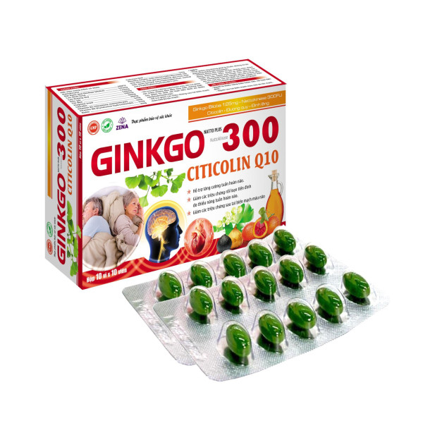 Bổ Não Ginkgo 300 Citicoline Q10 _Zn (H10Vỉ X 10Viên)