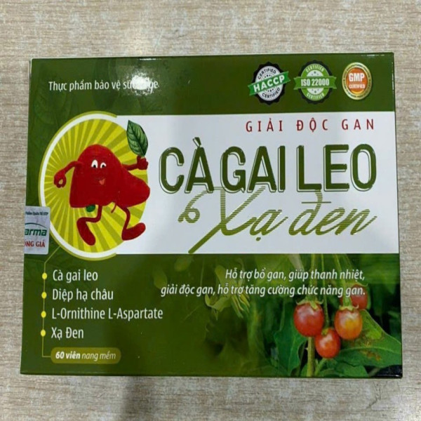 Bổ Gan Cà Gai Leo Xạ Đen _Blg (Hộp60V)