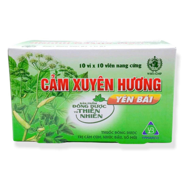 Cảm Xuyên Hương Yên Bái (Viên) (H100V)