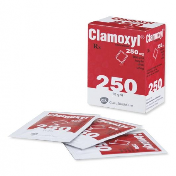 Clamoxyl Amoxicilin 250Mg Gsk (H/12G)