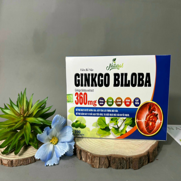 Ginkgo Biloba 360 Xanh Dương Tâm Sen (H100V) K66H