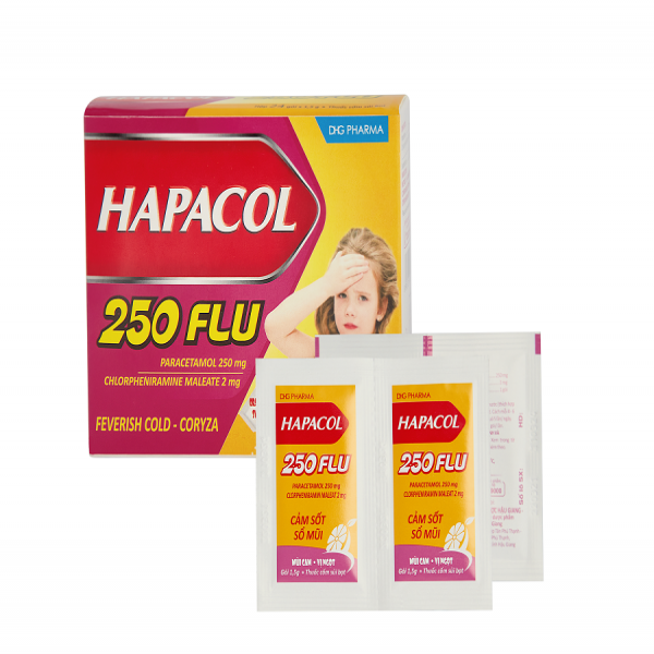 Hapacol 250 Flu Dhg (H24G1,5Gr)