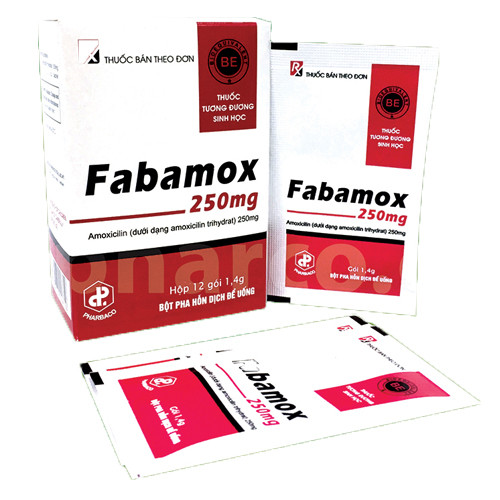Fabamox Amoxicillin 250 Mg Pharbaco (H/12gói X 1.4g)