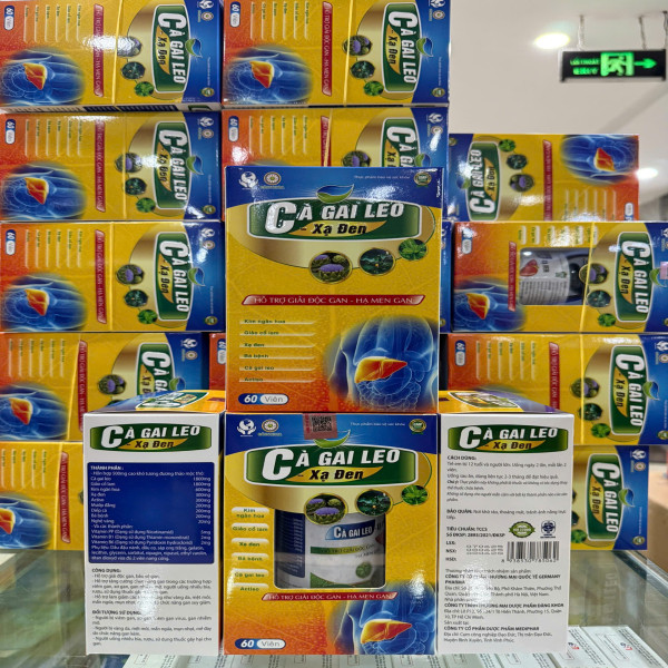Cà Gai Leo Xạ Đen( Lọ 60 Viên) Md Vàng
