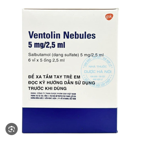 Ventolin 5Mg Gsk (H30 Ống) Mẫu Mới