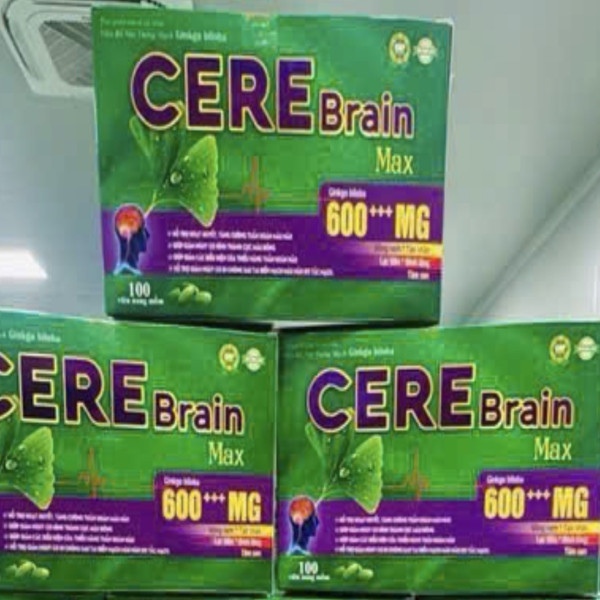 Ginko Cere Brain Max 600 Mg Hộp 100 Viên, xanh đậm