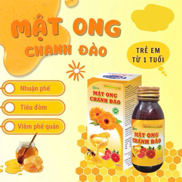 Siro Chanh Đào Mật Ong Hanoi Pharma Lọ 100 Ml