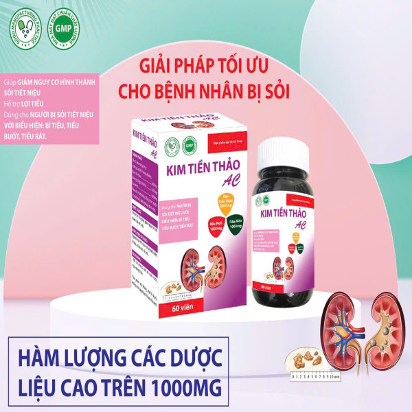 Kim Tiền Thảo AC (L/60v) hàng điểm