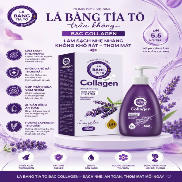 Ddvs Lá Bàng Tía Tô Trầu Không Bạc Colagen Tím Hương Lavender Lọ 150 Ml