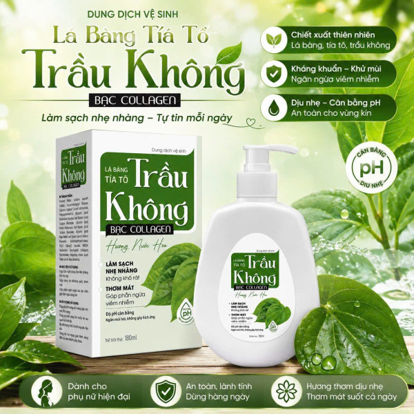 Ddvs Lá Bàng Tía Tô Trầu Không Bạc Colagen Hương Nước Hoa Lọ 180 Ml K60