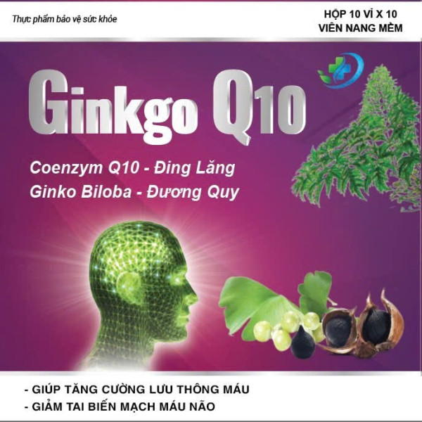 Ginkgo Q10 Tím Vinapha Hộp 100 Viên