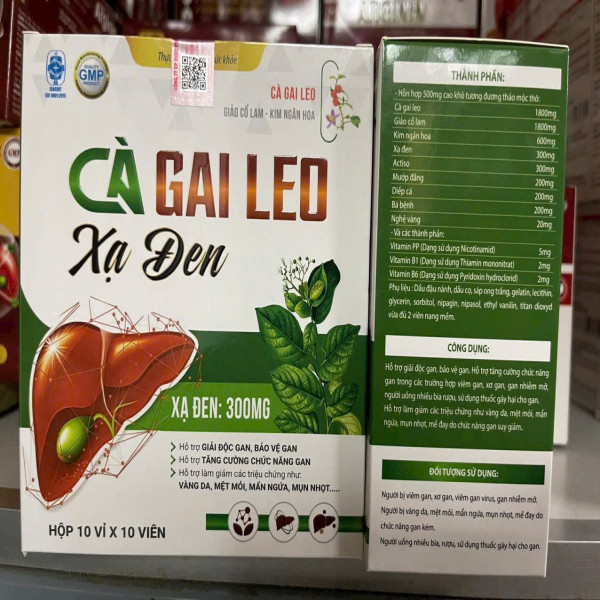 Cà Gai Leo Xạ Đen Xanh Md (H/100V)