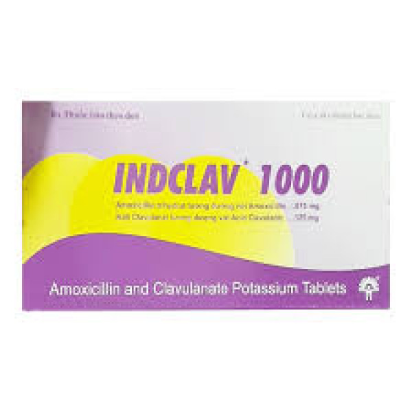 Indclav 1000 (H10V)