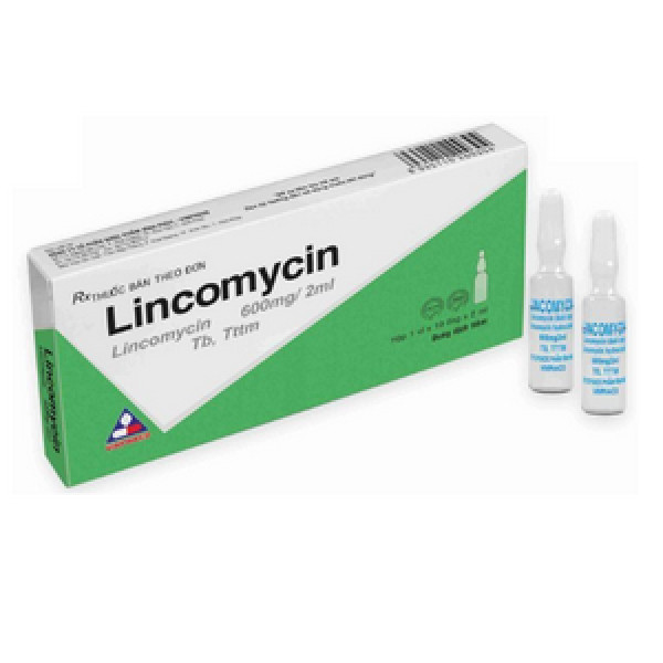 Lincomycin 600Mg/2Ml Vĩnh Phúc (H/10O/2Ml)