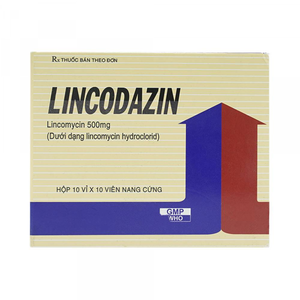 Lincodazin 500Mg Capsules Vidipha (H100V)