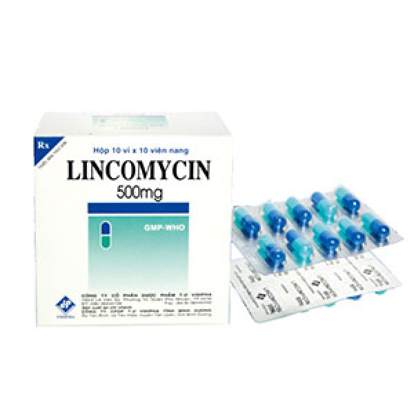 Lincomycin 500Mg Vdp (H100V)