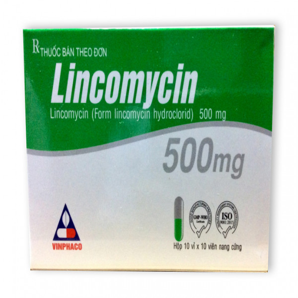 Lincomycin 500Mg Vĩnh Phúc (H100V)