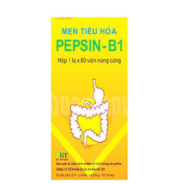 Men Tiêu Hóa Pepsin-B1 Hà Tây (C80V)