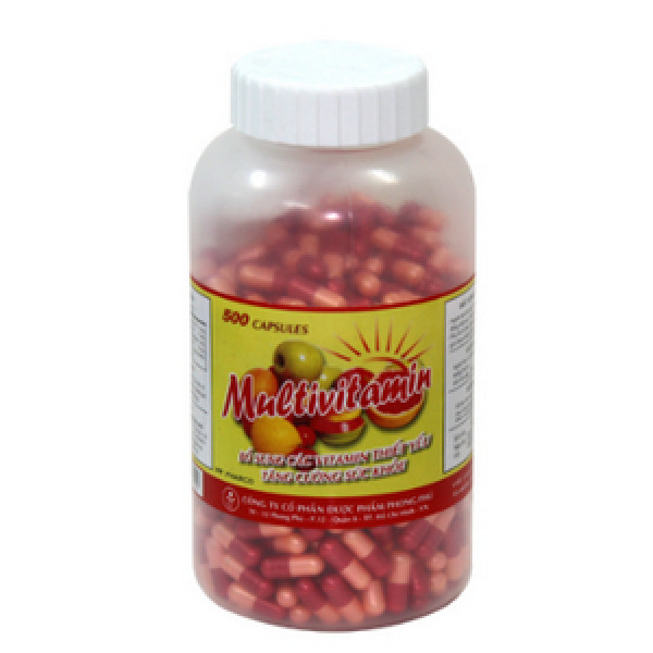 Multi Vtm Lọ Phong Phú (L500V)