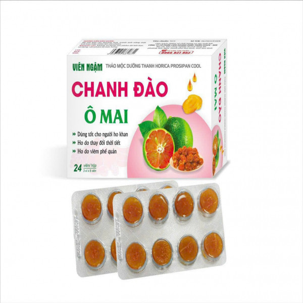 Ngậm Chanh Đào Ô Mai _ Hdv (H24V)