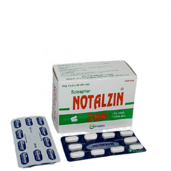 Notalzin 500Mg (H100V)