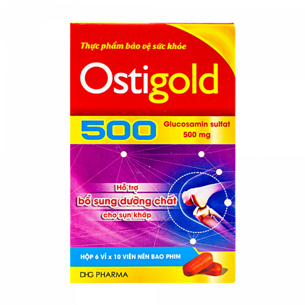 Ostigold Glucosamin Sulfat 500Mg Dhg (H60V)