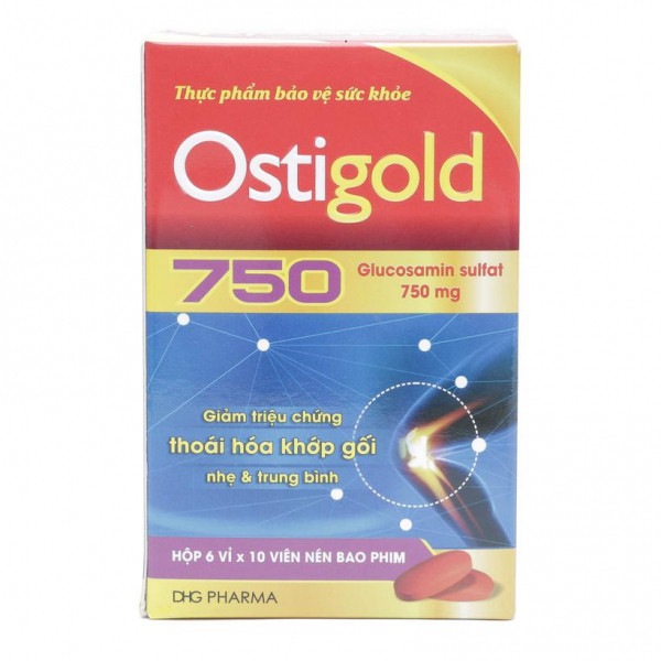 Ostigold Glucosamin Sulfat 750Mg Dhg (H60V)