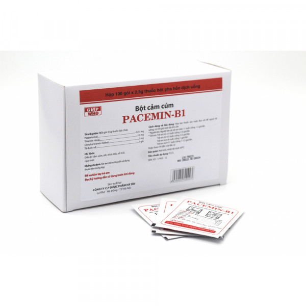 Pacemin B1 Hà Tây (Gói) (H100G2,5Gr)