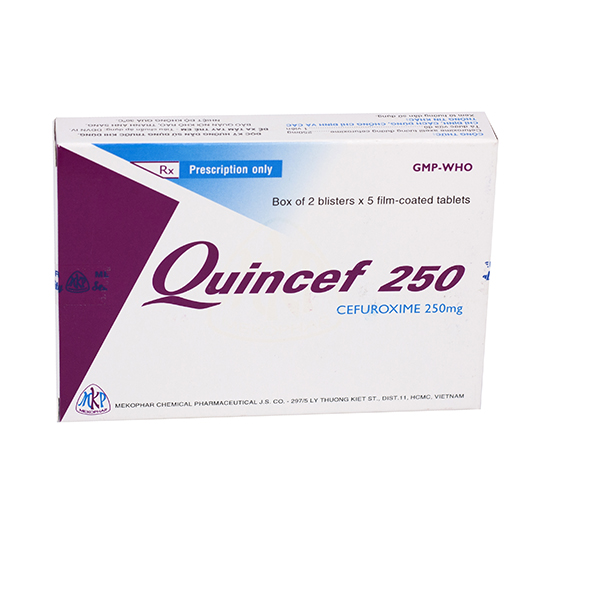 Quincef 250 Mekophar (H10V)
